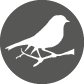 Endcliff-tranquility-icon
