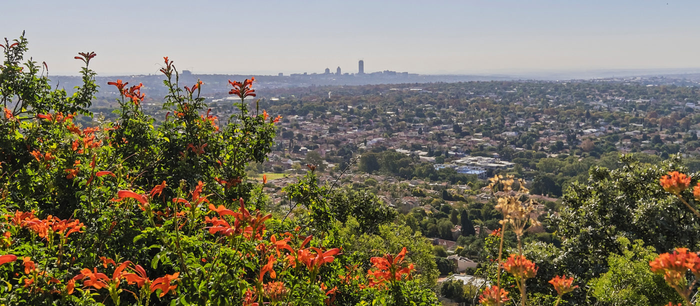Endcliff-luxury-suite-view-of-sandton